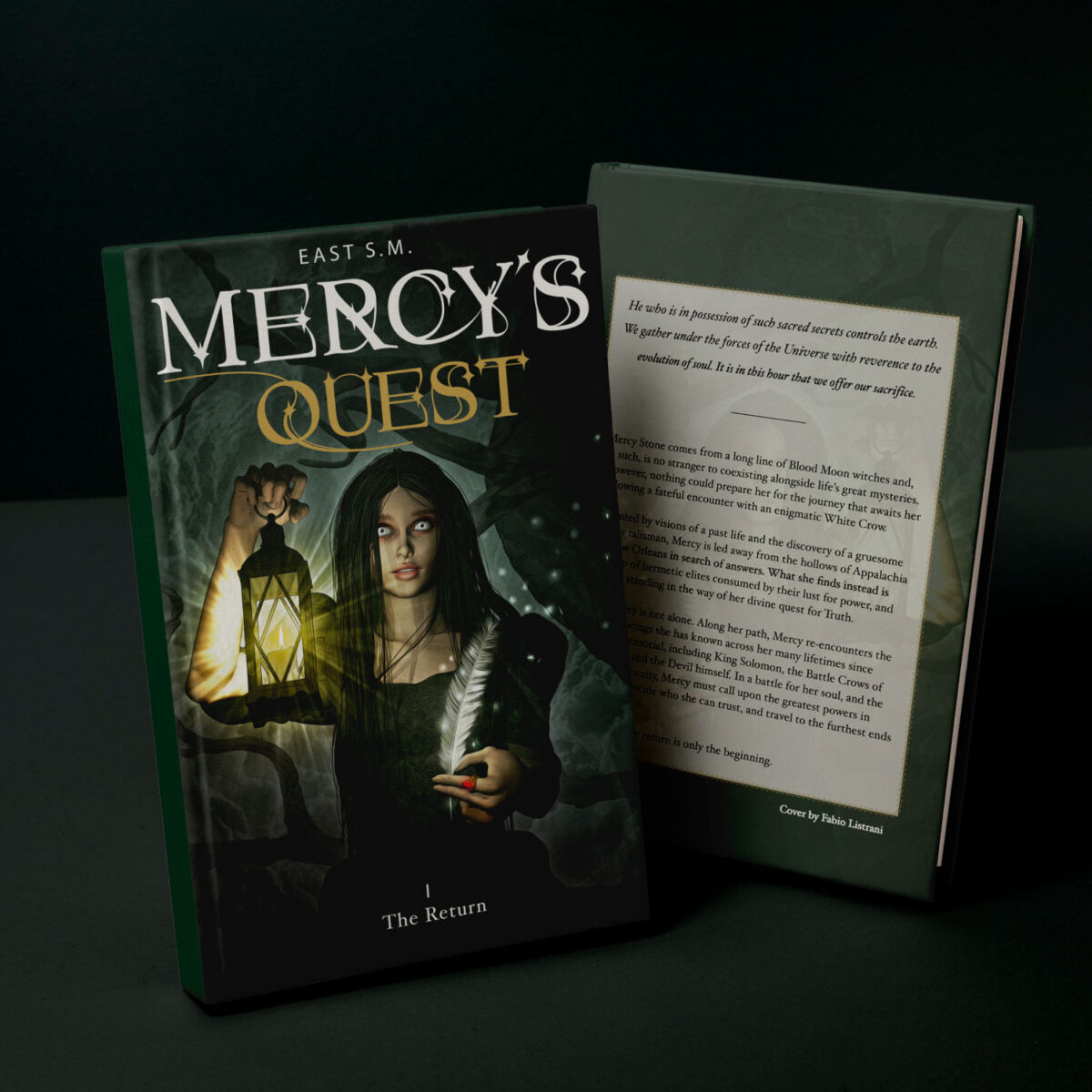 Mercy's Quest Book