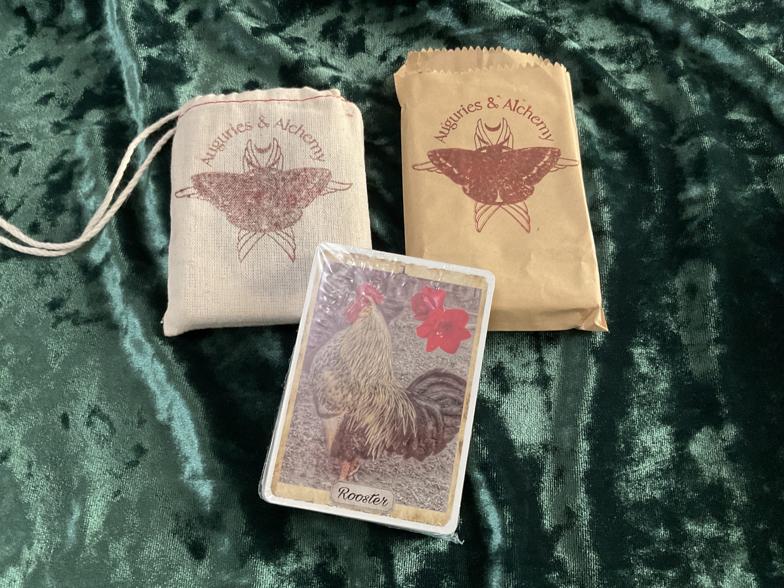 oracle bird cards